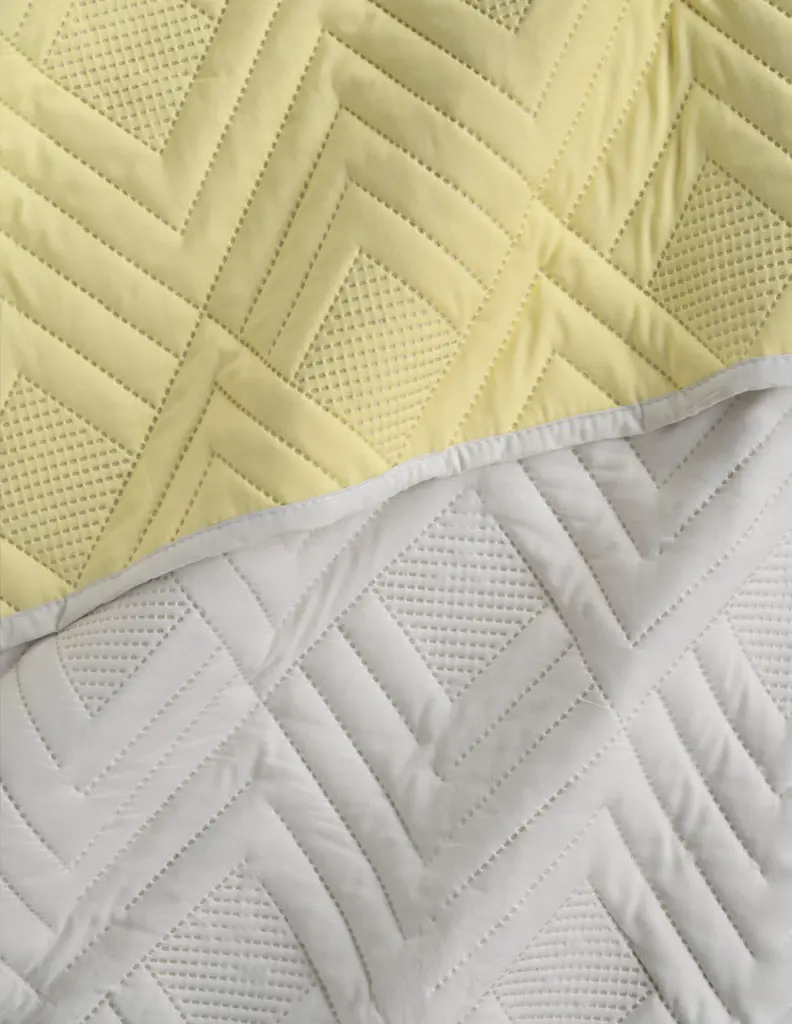 2 Esquimal-Pinsonic-Dhara-02.webp