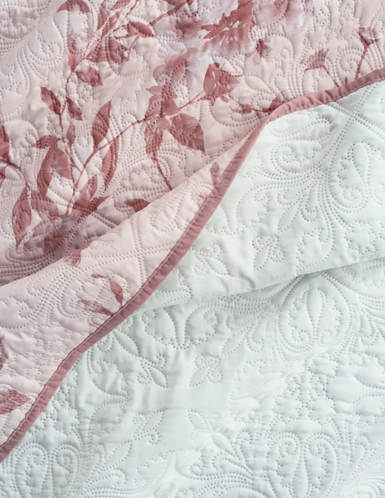 2 Esquimal-Pinsonic-Ezia-02.webp