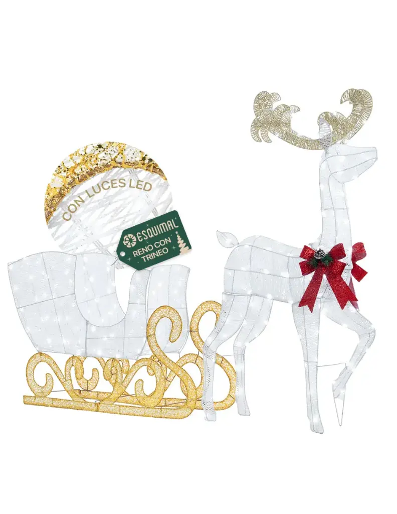 3DWR RENO CON TRINEO 