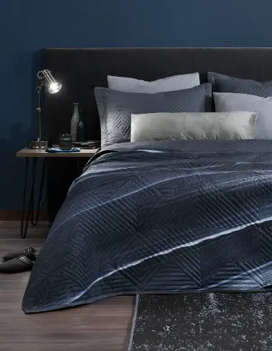 EDREDÓN PINSONIC PATAGONIA