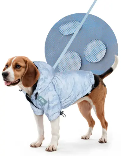 SUDADERA CON CAPUCHA CAMO PRINT